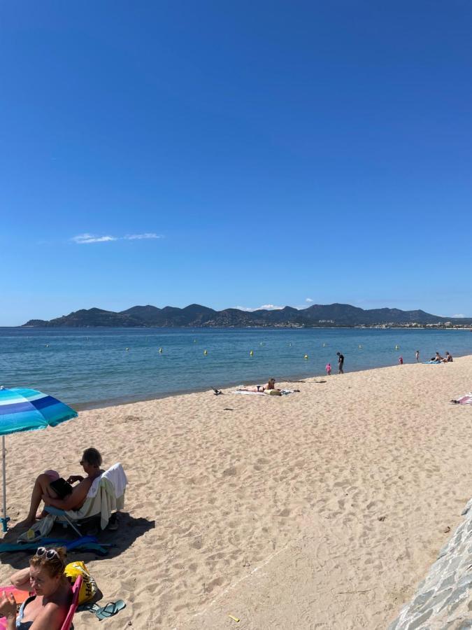 Centre-palais-200m Des Plages