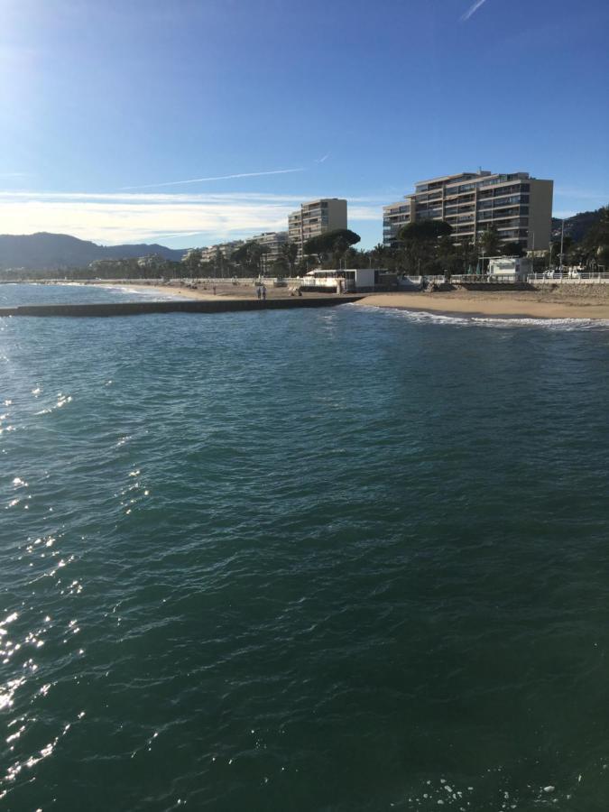 Appartement Les Pieds Dans L'eau