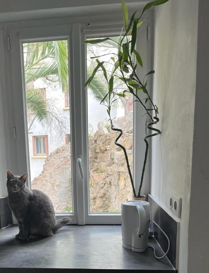 Apartment Bourgoise Chez Perette A 7 Mn En Voiture De La Croisette Cannes