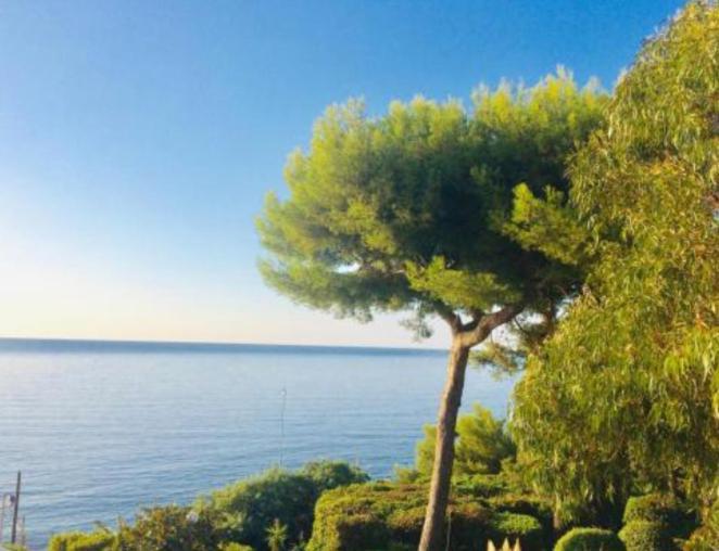 Directly On The Sea * Cannes