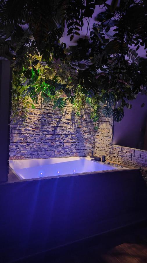 Apartment Jungle Cannes