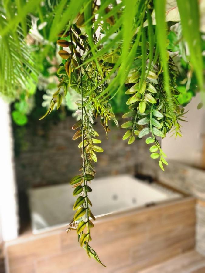 Jungle Apartment *