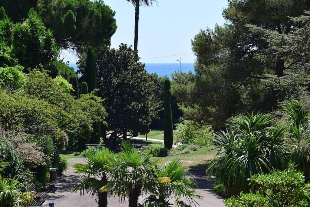 Appartement, 2 Pieces ,residence Avec Piscine Cannes