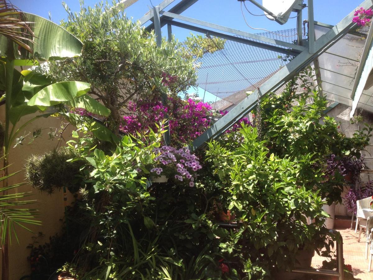 Studio Du Lac Cannes