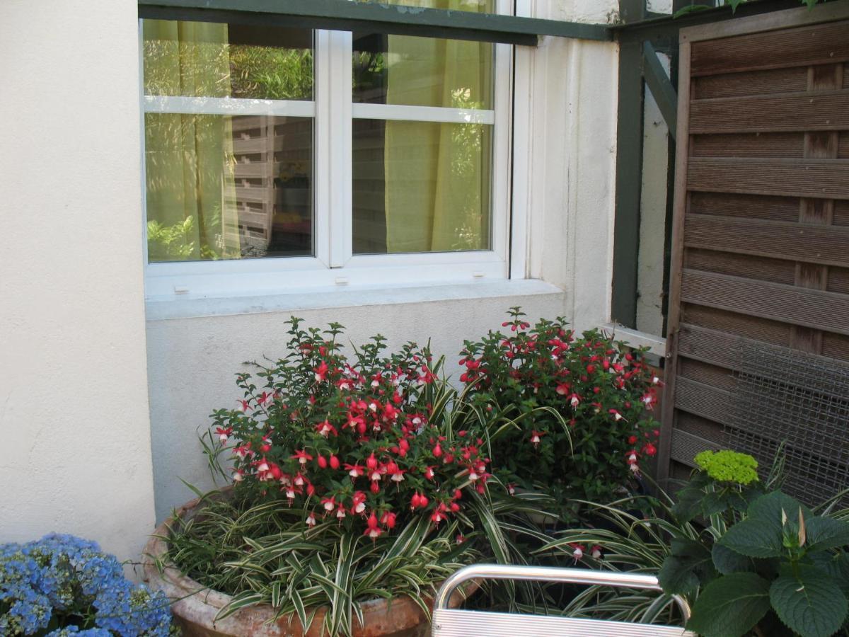 Studio Du Lac