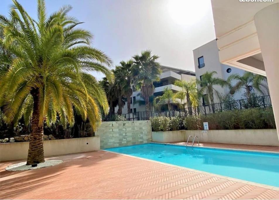 Apartment , Piscine, Terrasse, Proche Croisette Cannes
