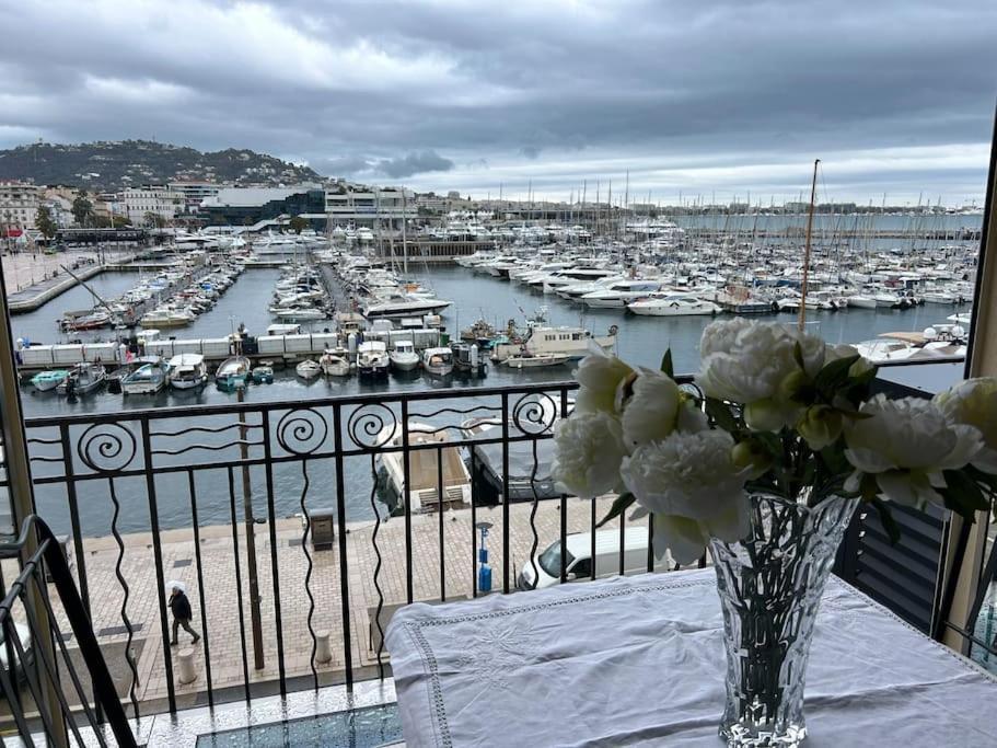 Vieux Port Splendide Vue Cannes