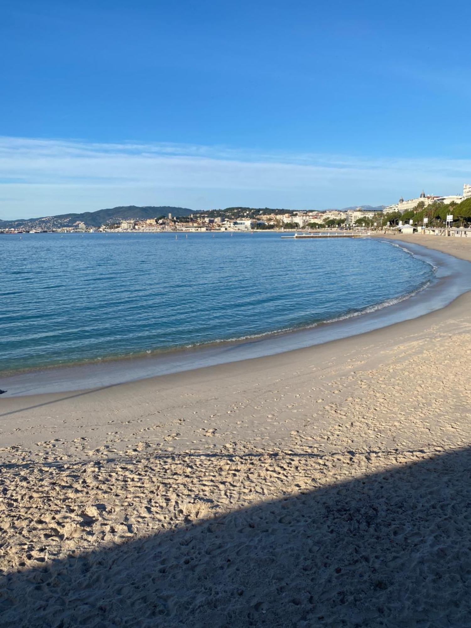 Appartement Superbe Hypercentre Climatise Cannes
