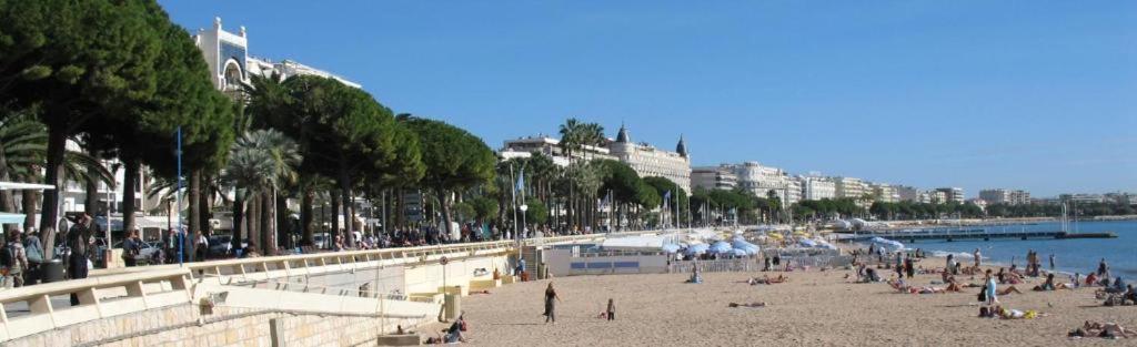 Pieds Dans L'eau Cannes