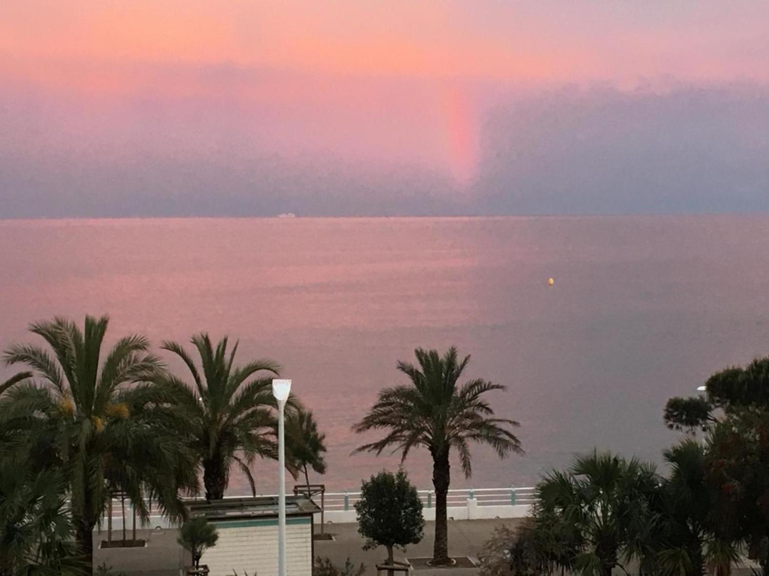 Les Pieds Dans L'eau Cannes