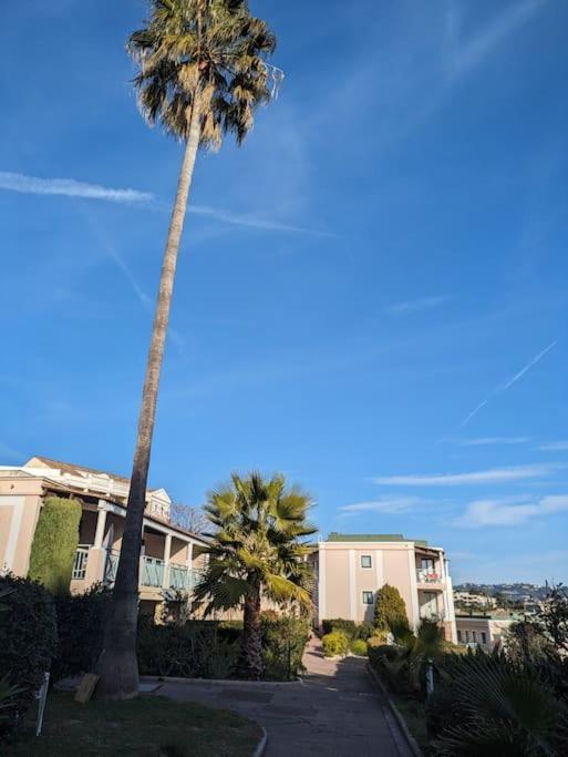 Superbe Avec Piscine 1 Cannes