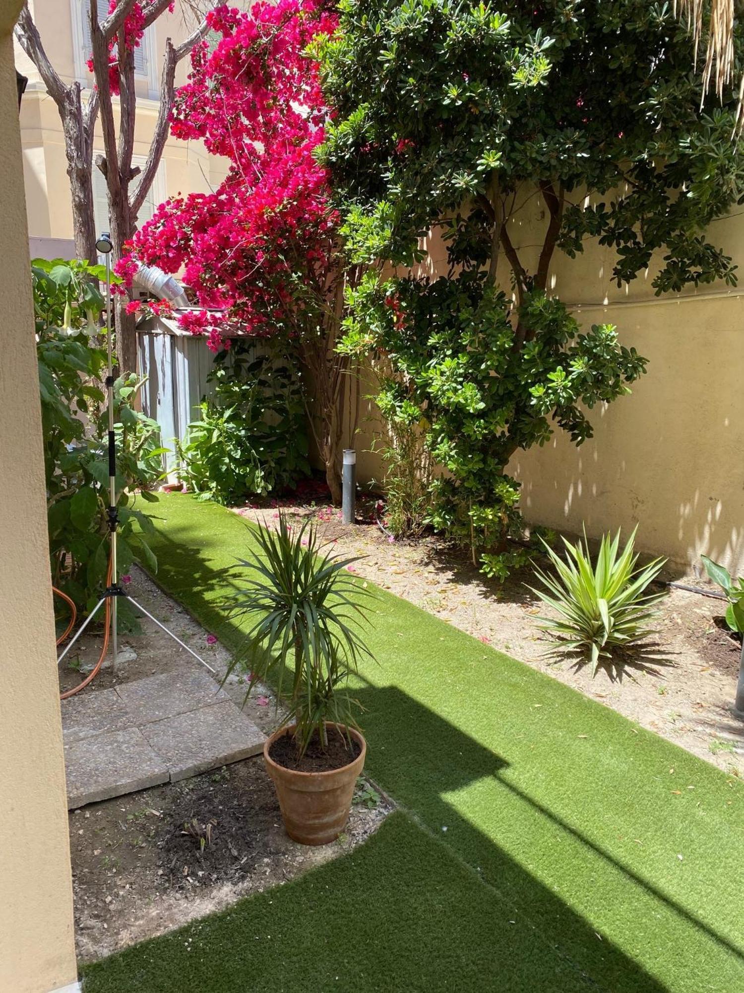 Apartment Del Mar Bord De Palm Cannes