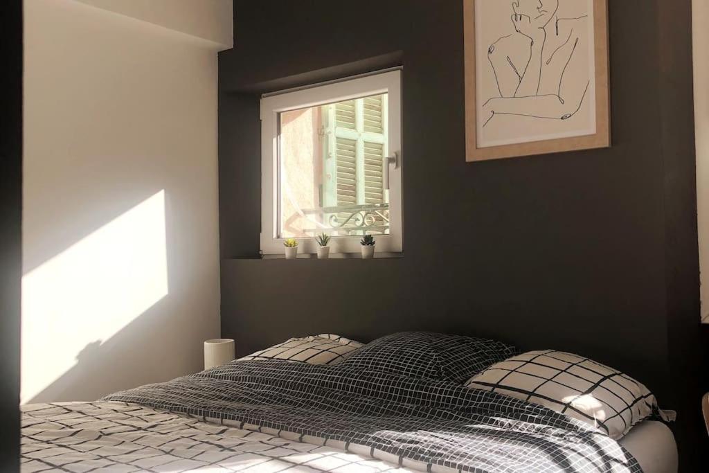 Apartment Cosy En Plein Centre-ville Cannes
