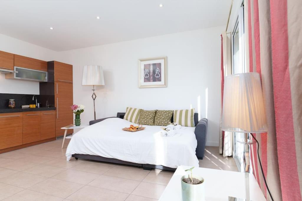 Le Carnot By Apirent #centre-ville #climatisation #wifi Cannes