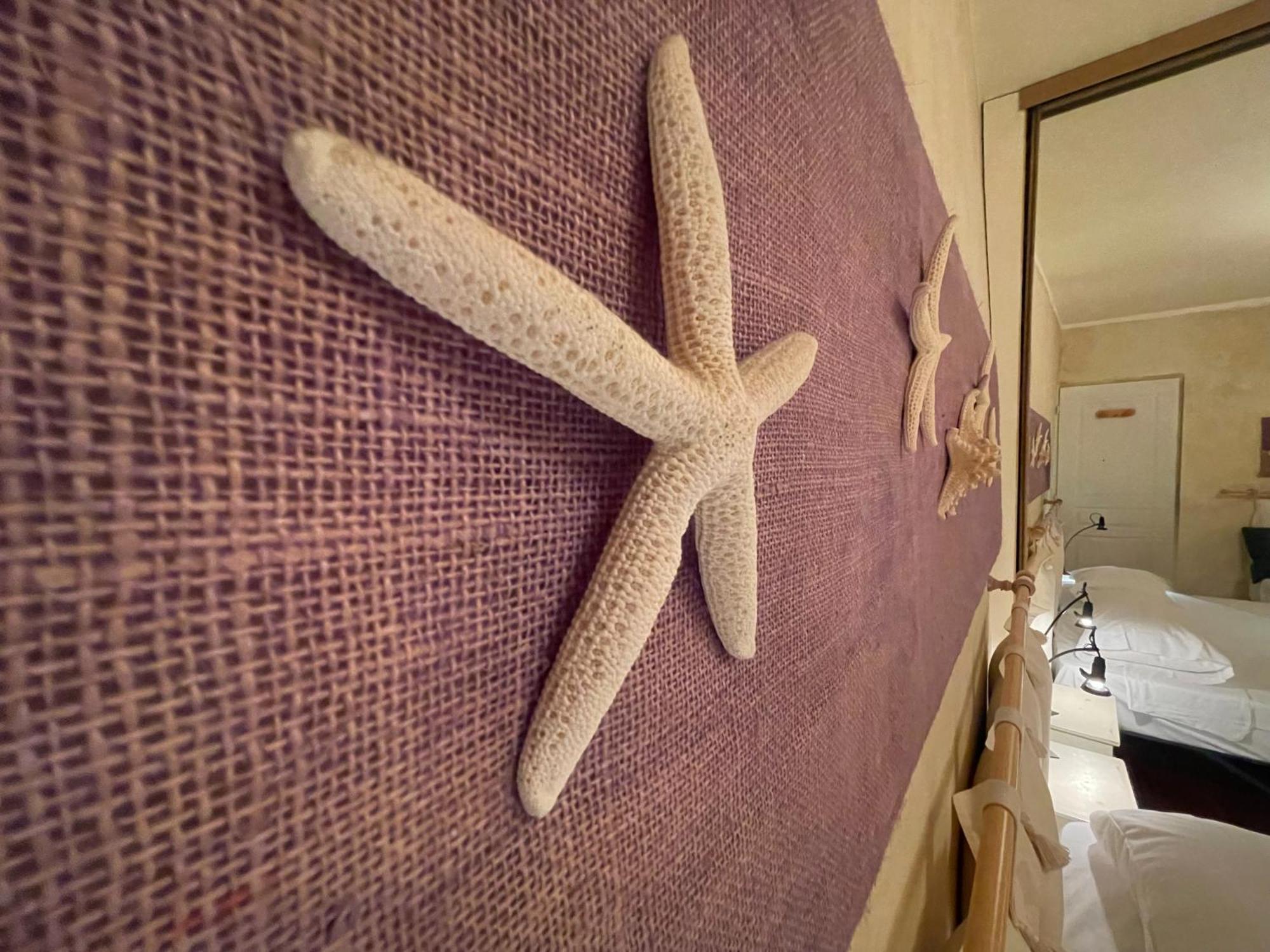 Apartment Le Suquet Style Iv By Connexion