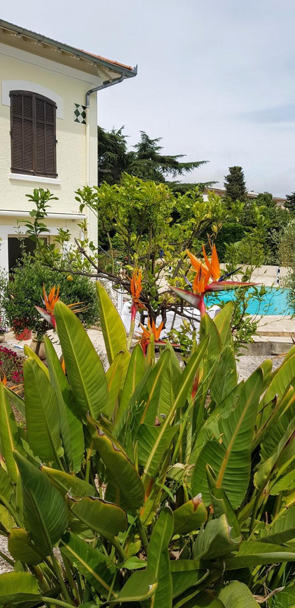 De Charme Centre Au Calme Holiday home Cannes