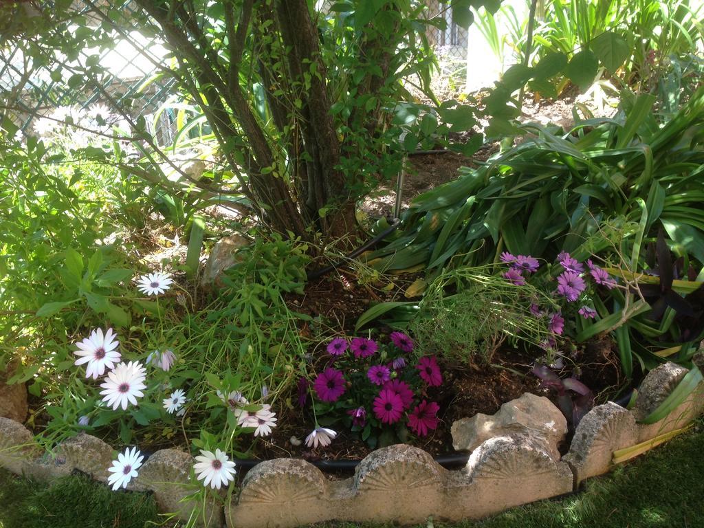 Chantemerle * Cannes