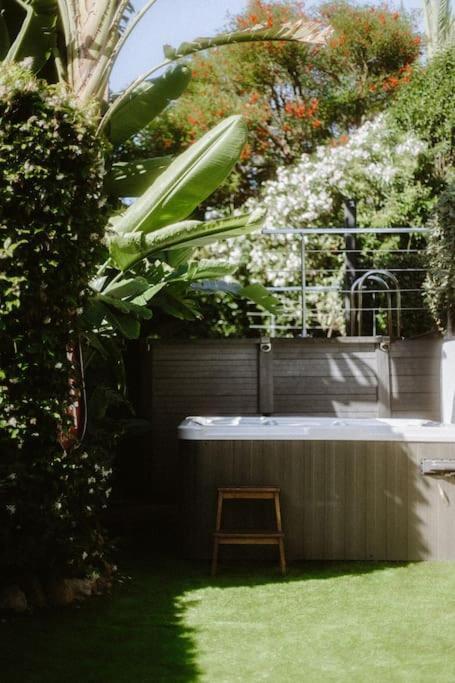 Maison Avec Jardin Tropical A 5 Minutes De La Croisette
