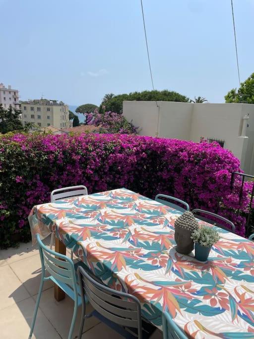 Maison Avec Jardin Tropical A 5 Minutes De La Croisette Holiday home