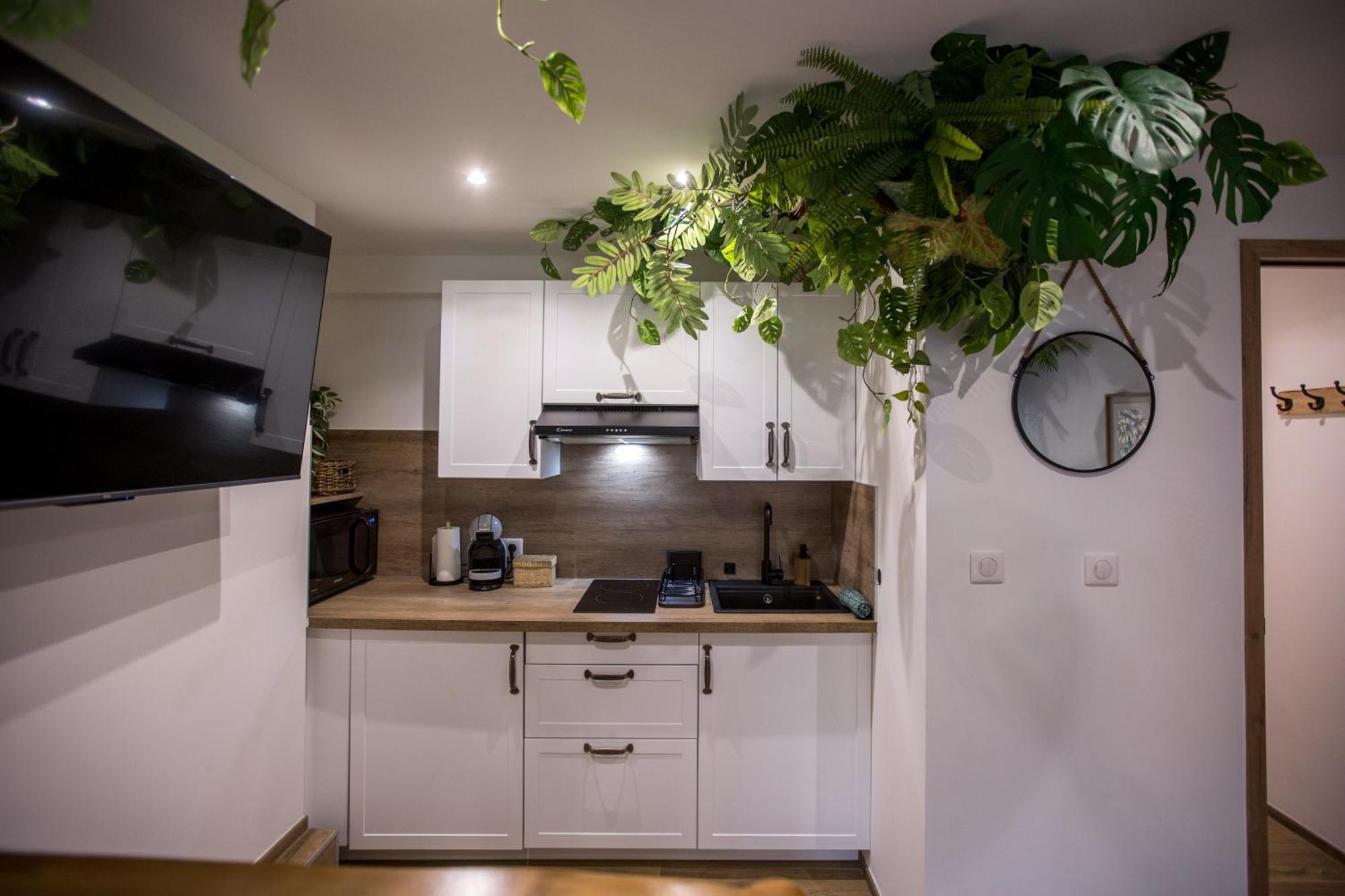 Apartment Jungle