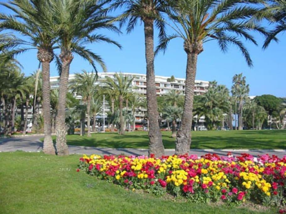 Palm Parking, Clim, Wifi 2' A Pieds *