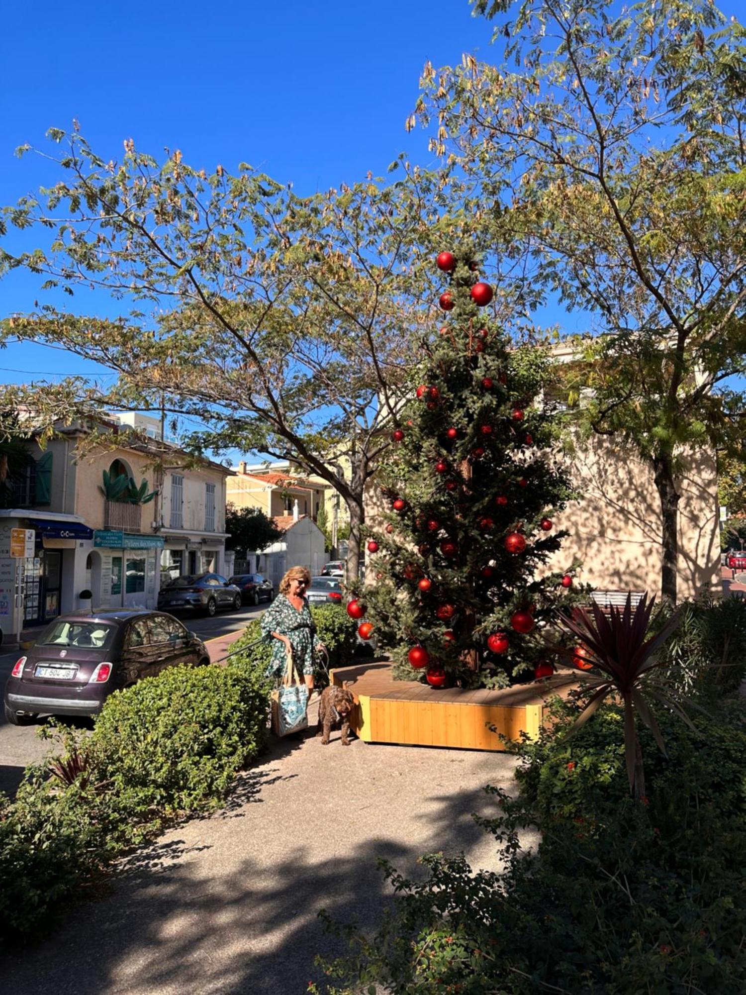 Parc De La Croisette Cannes