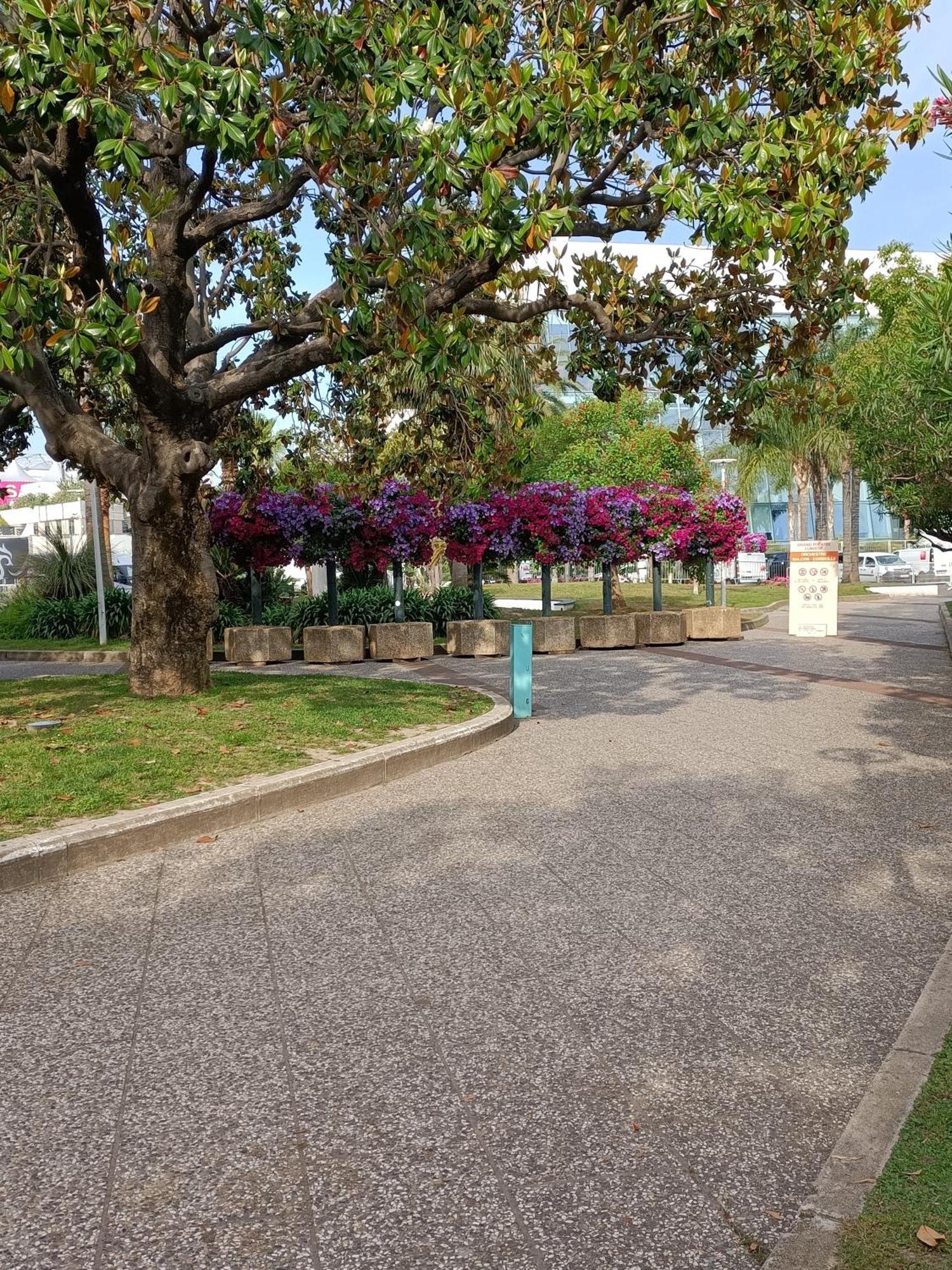 Gallieni * Cannes