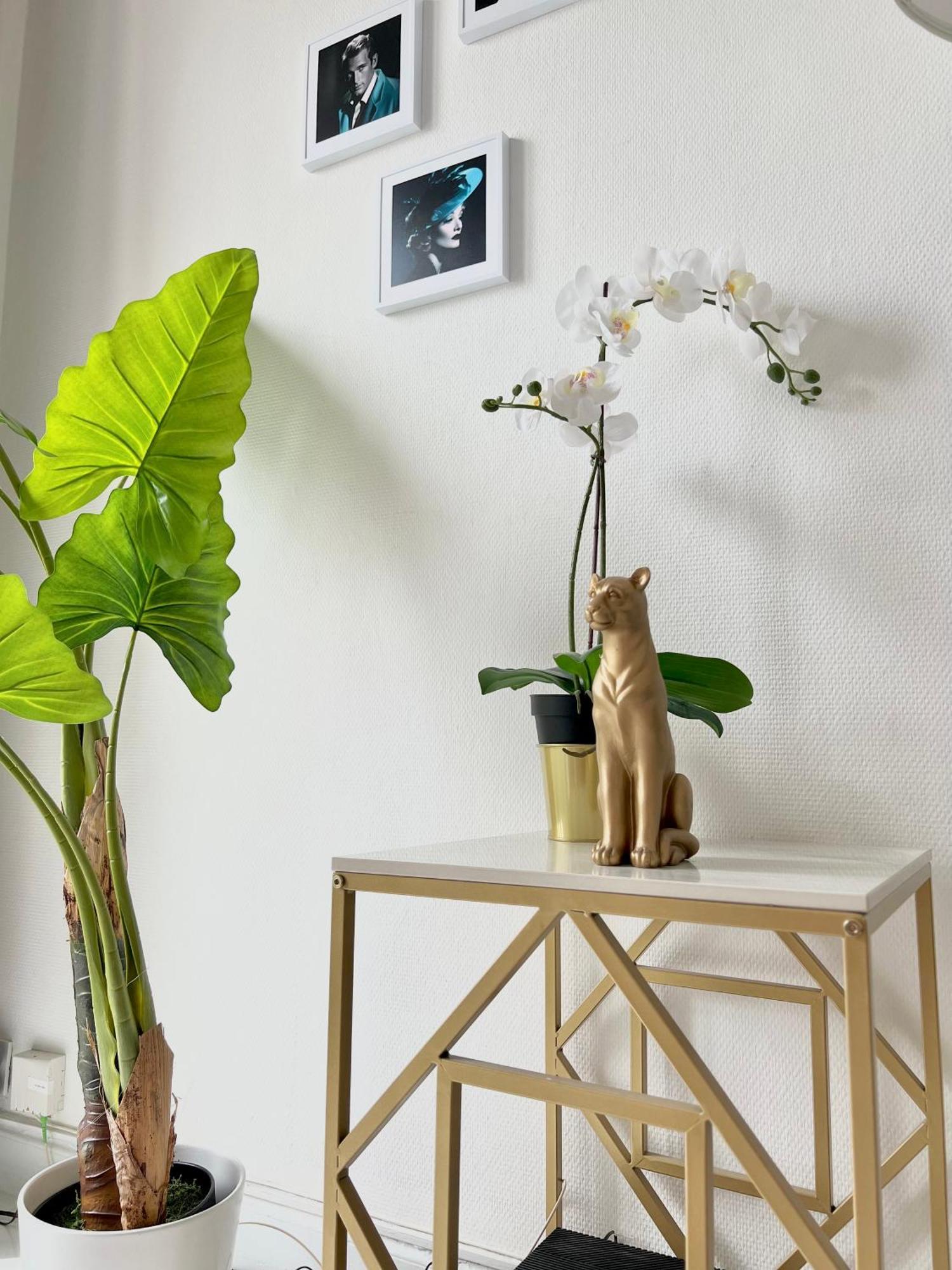 Apartment Fiorella's Oasis Cannes
