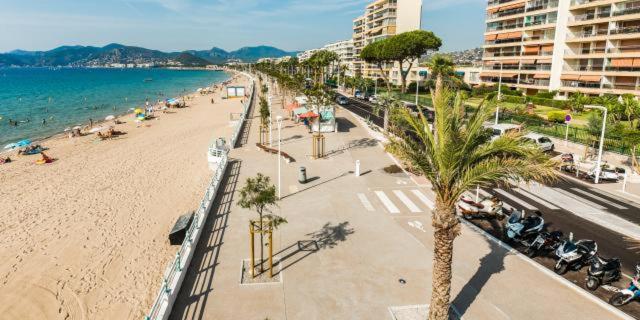 Apartment 1 Piece Pointe De La Croisette A
