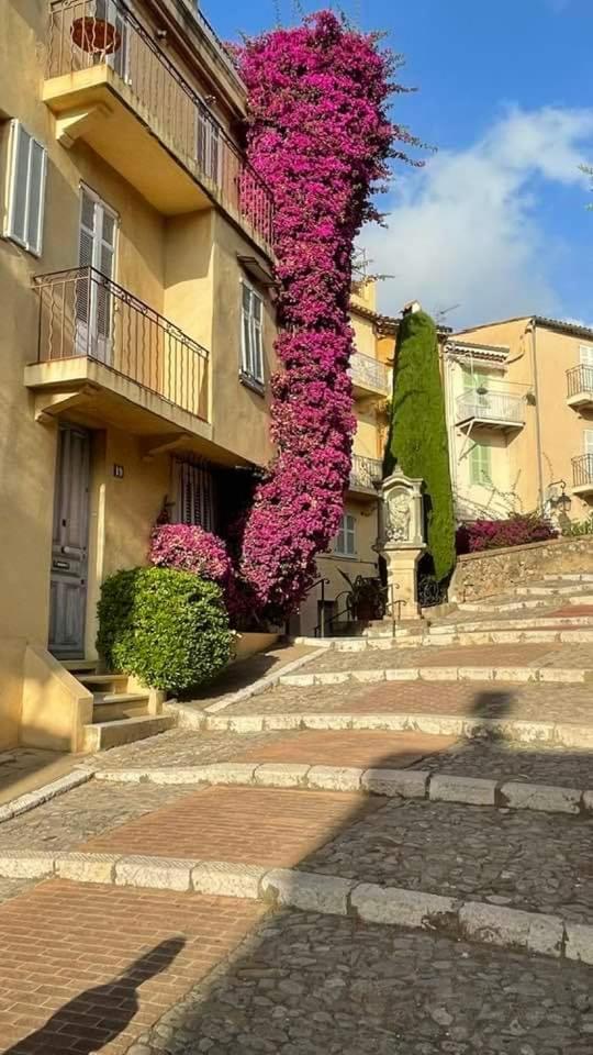& Apartment