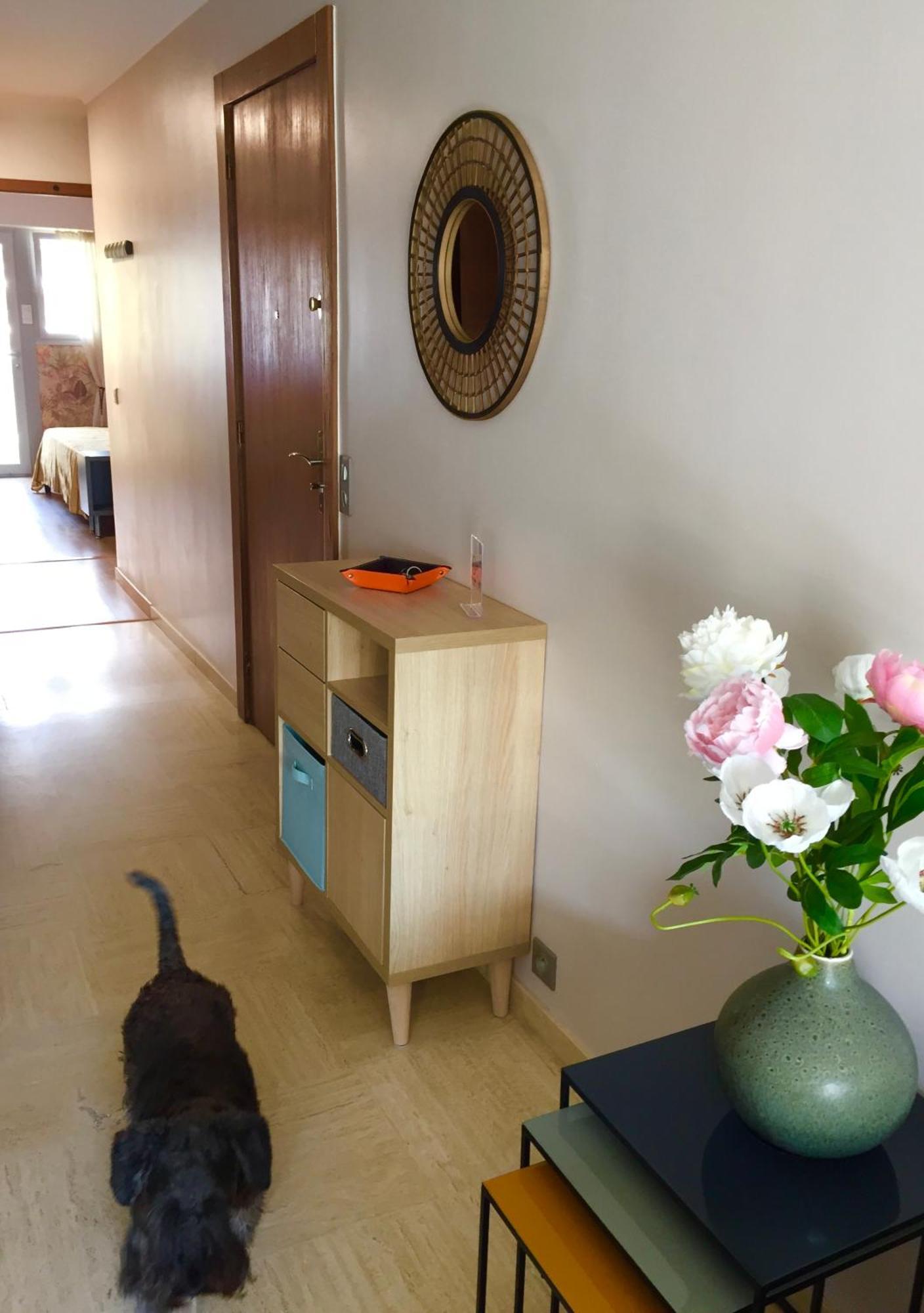 Mimosa Croisette Apartamento