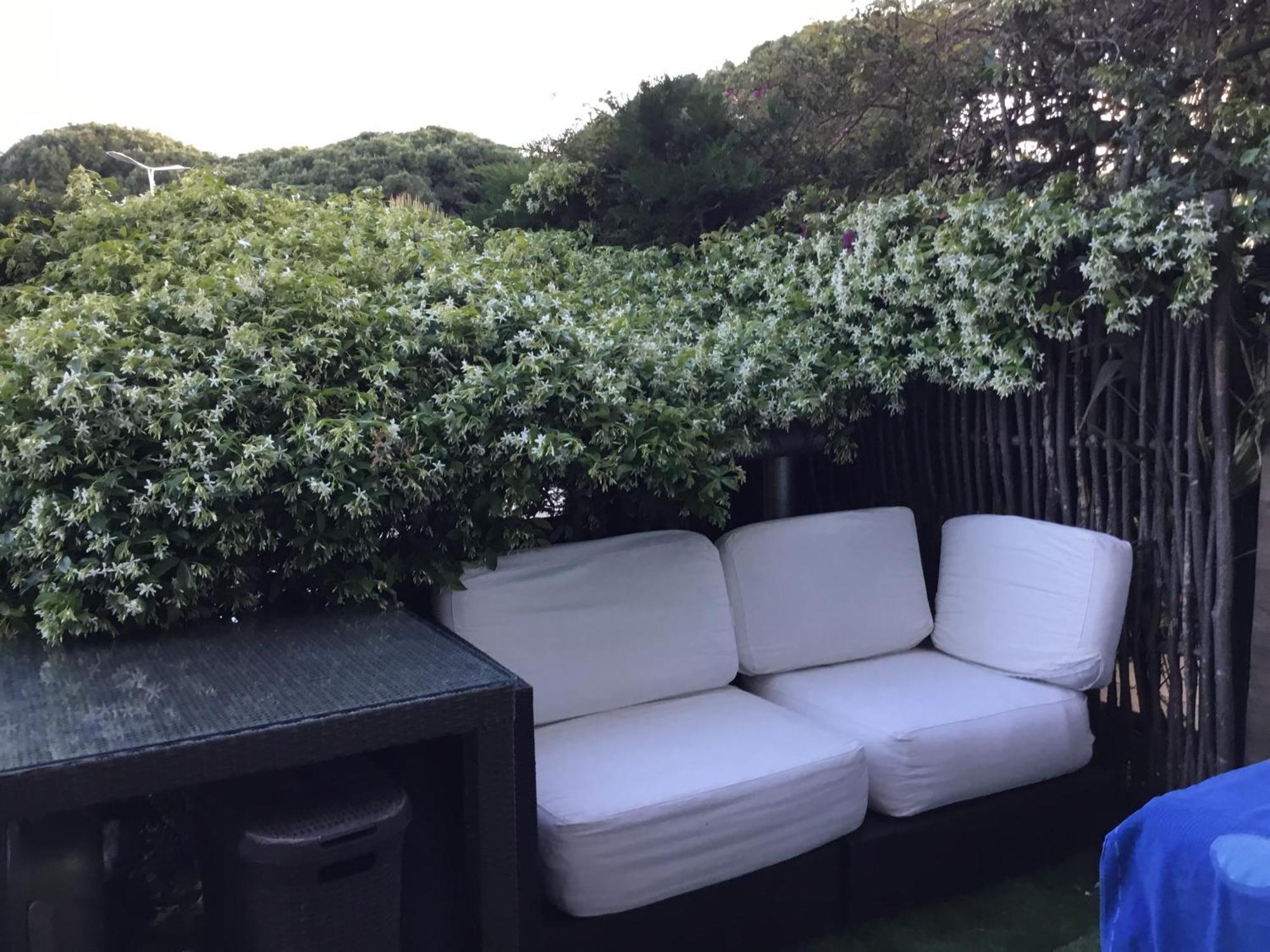 Croisette Pearl Apartment