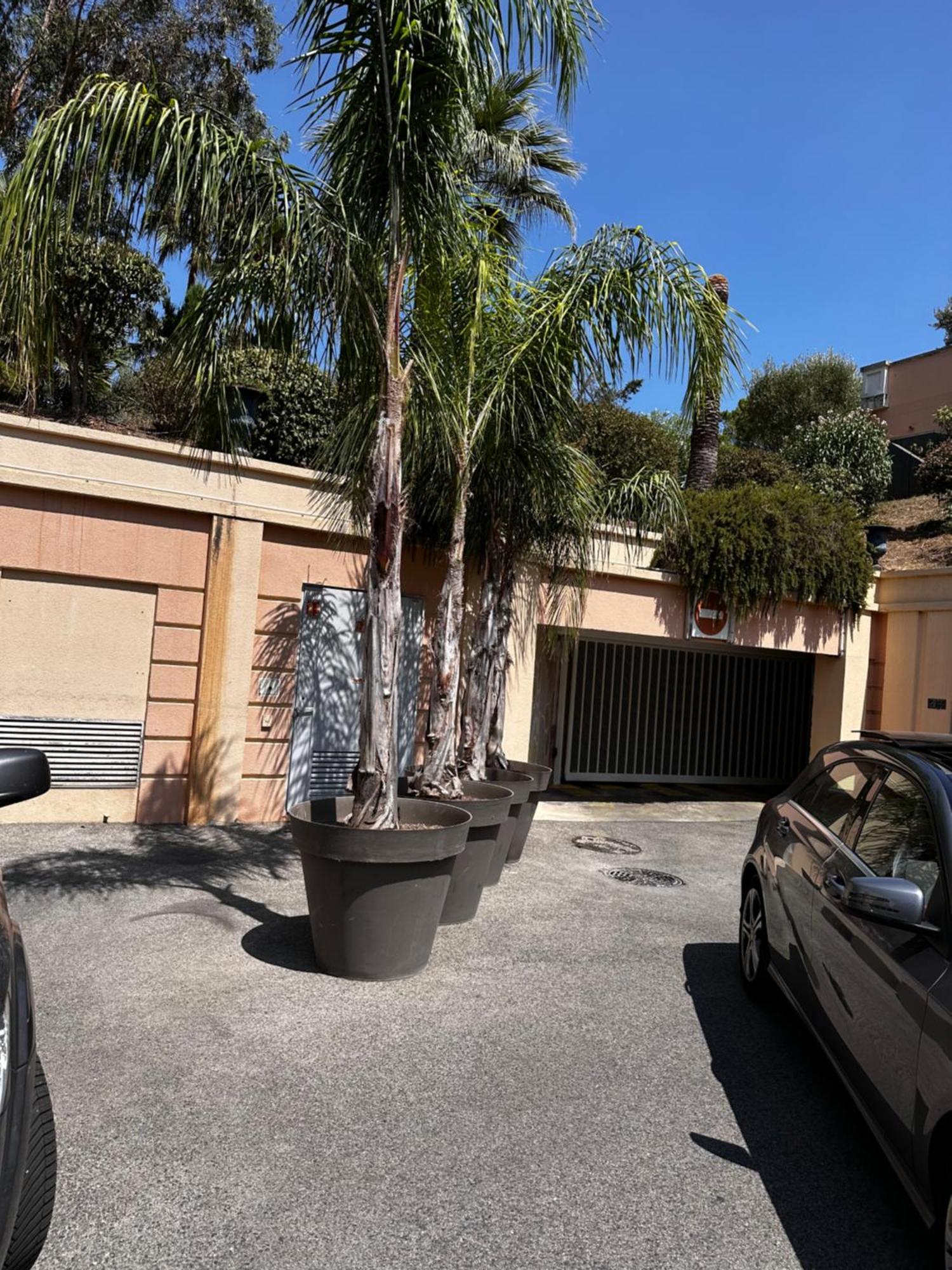 Appartement Francia Cannes