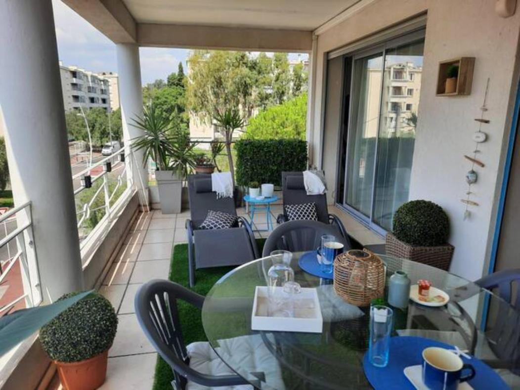 Apartment And Festival Palais
