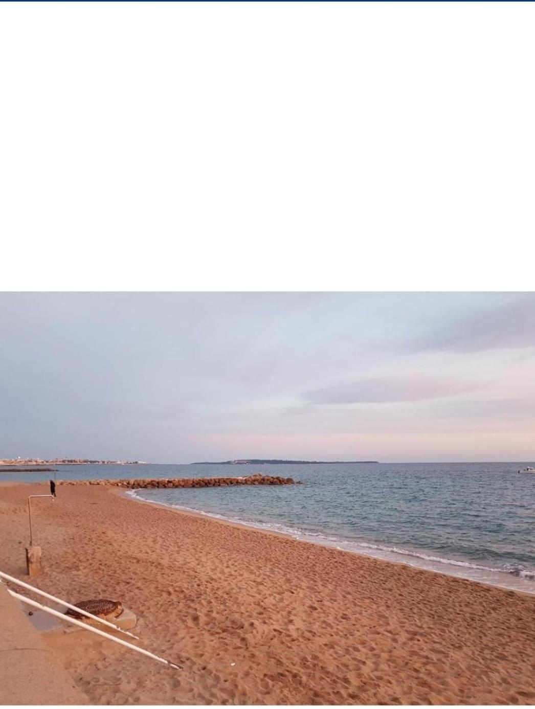 Eden Park Apartment Cannes