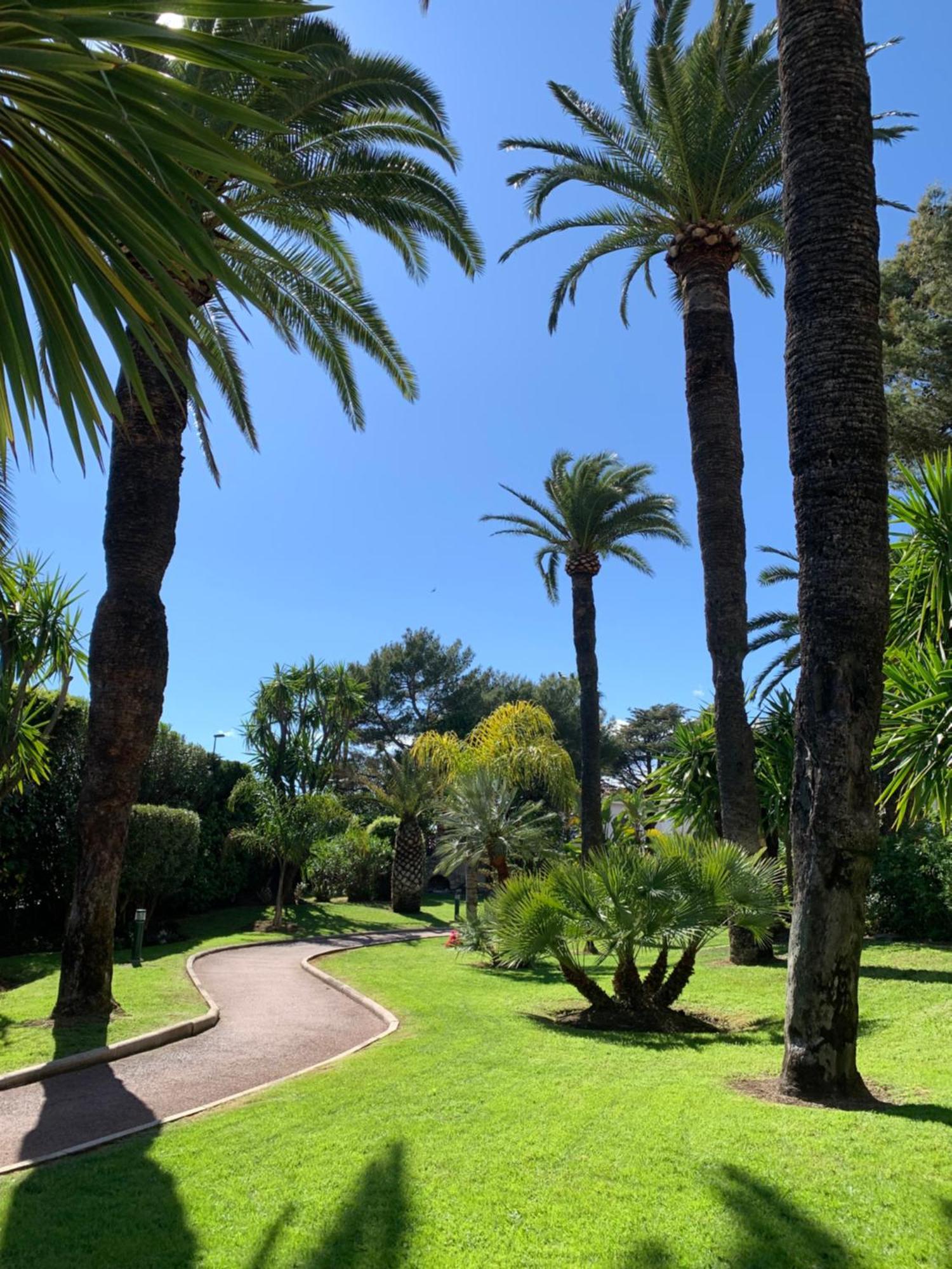 Front De Mer, 80m2 * Cannes