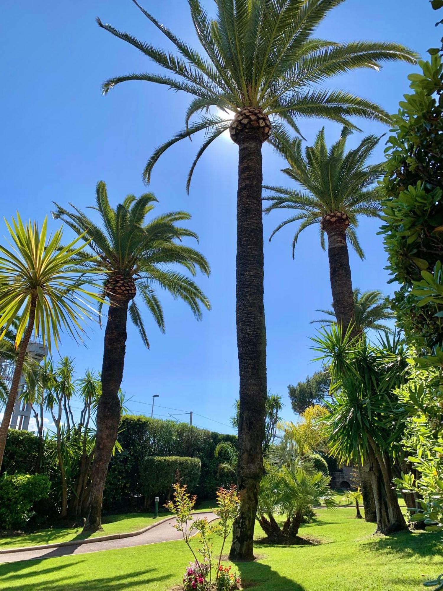 Front De Mer, 80m2 * Cannes