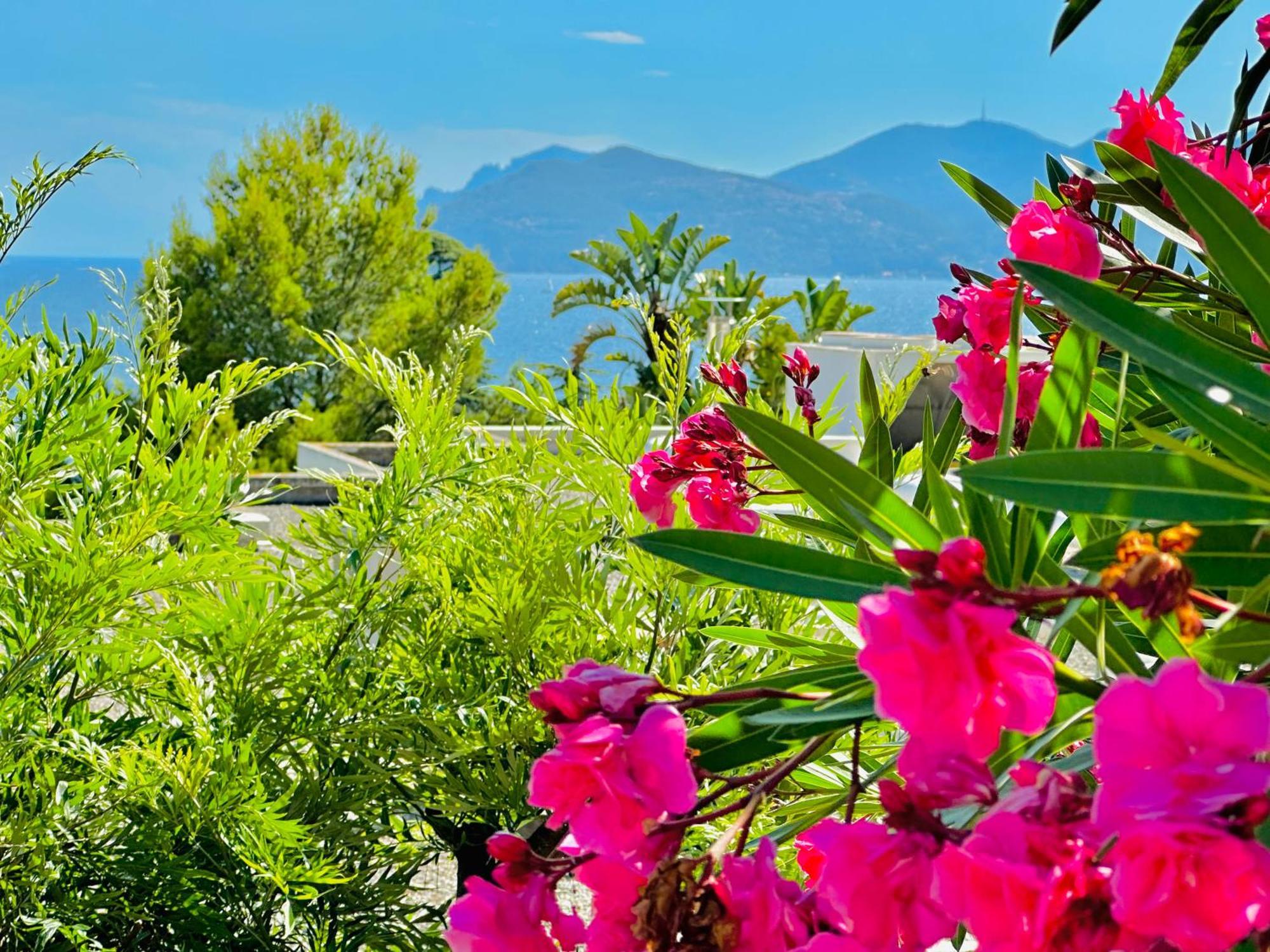 Luxurious Private Floor 130M2 - Ac, Terrace, Pool, Parking - Croisette 5', Plage Des Sports *