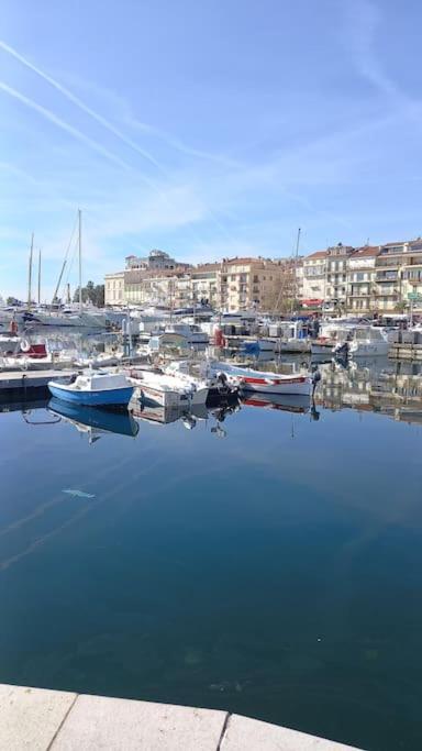 Appartement Isola Bella Entre Et Montagne Cannes