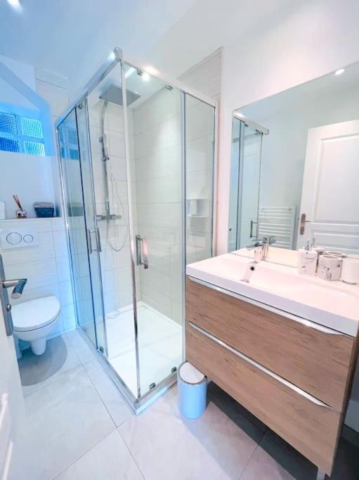 Apartment Jj Cannes