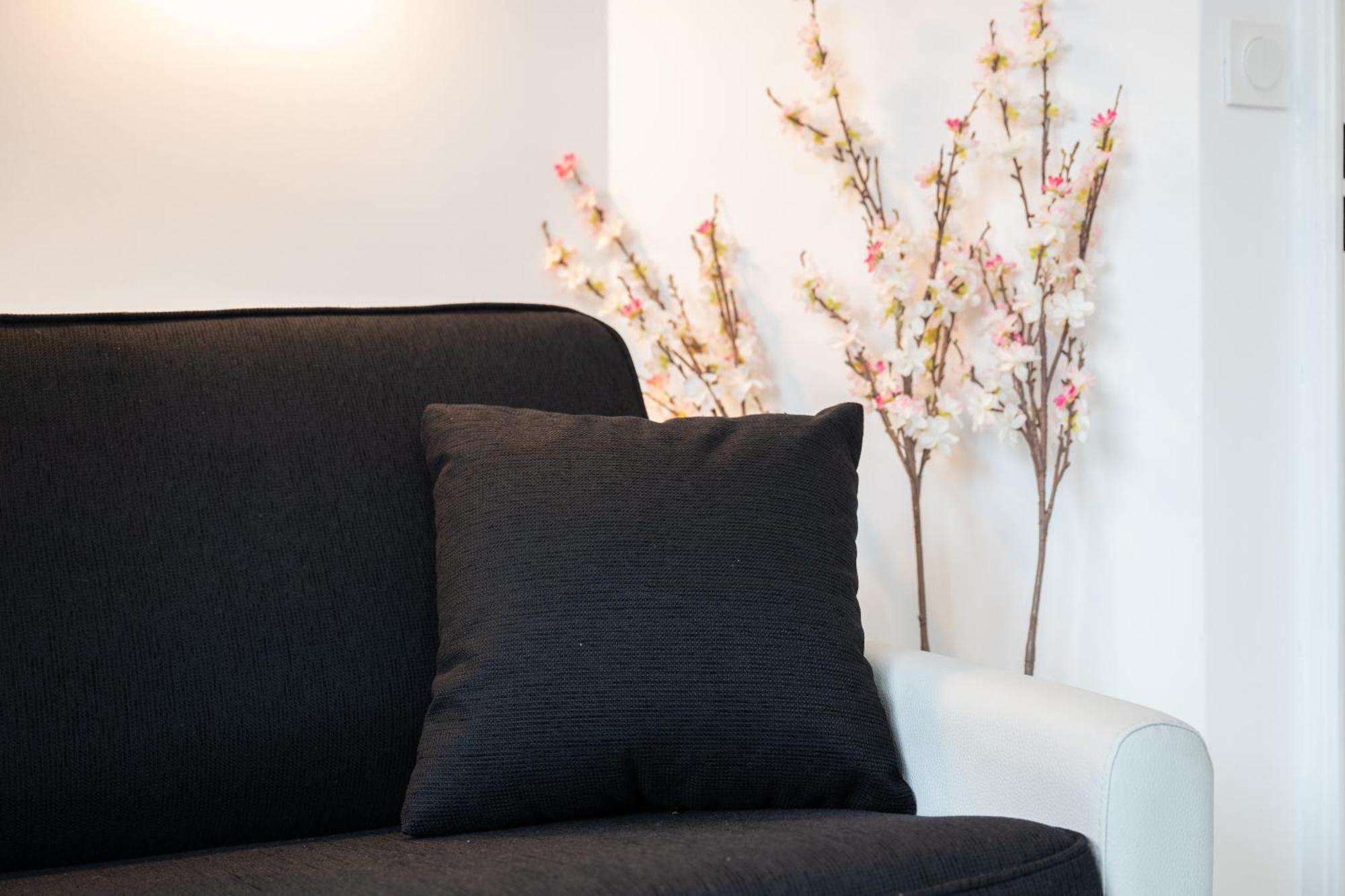 Apartment Stylish 2 In The Heart Of Cannes