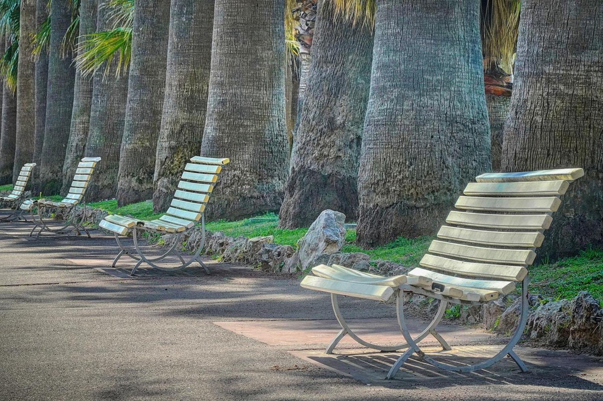 Le Palm - 100m - Croisette - Verriere Cote D'azur *