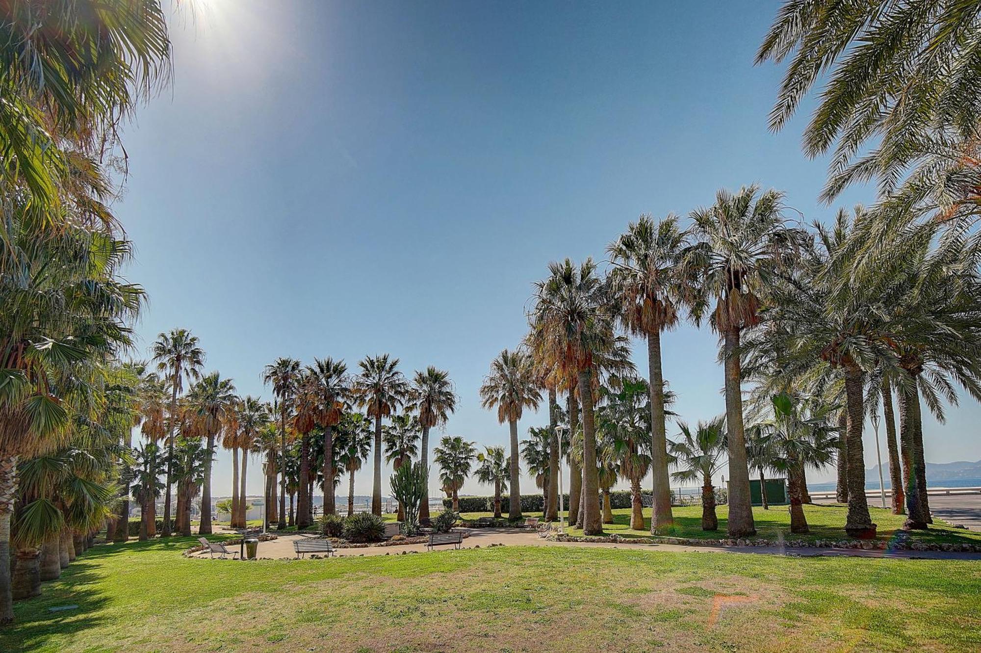 Le Palm - 100m - Croisette - Verriere Cote D'azur * Cannes