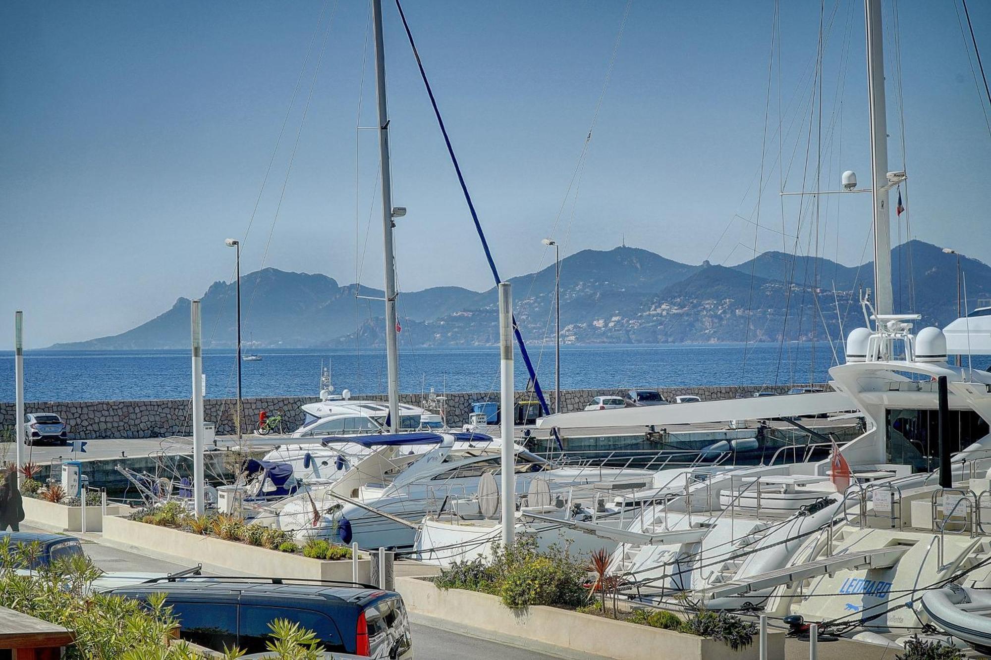 Le Palm - 100m - Croisette - Verriere Cote D'azur Cannes