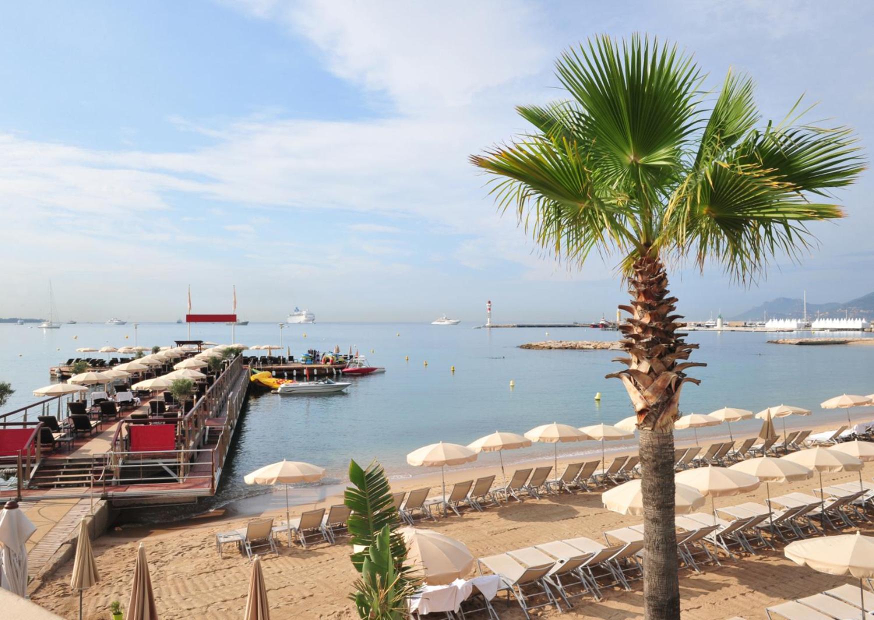 California Studio-parking-wifi-confort- Jardin Commun Avec Splendide Vue Mer-capitalchic Services Apartment