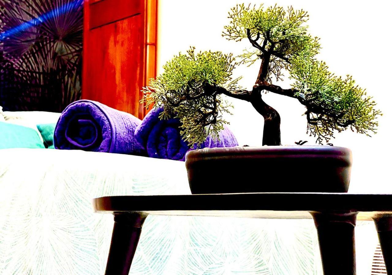 California Studio-parking-wifi-confort- Jardin Commun Avec Splendide Vue Mer-capitalchic Services Cannes