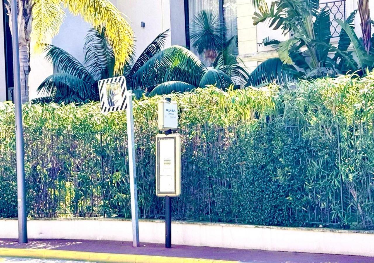 California Studio-parking-wifi-confort- Jardin Commun Avec Splendide Vue Mer-capitalchic Services * Cannes