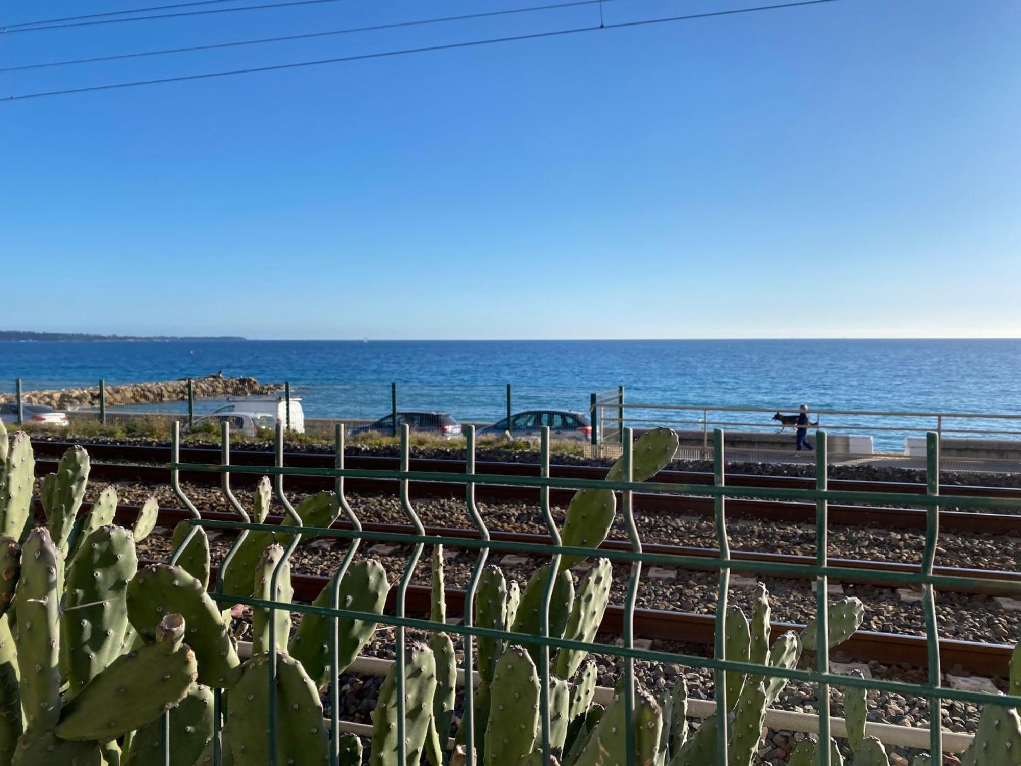 Rivage Bord De * Cannes