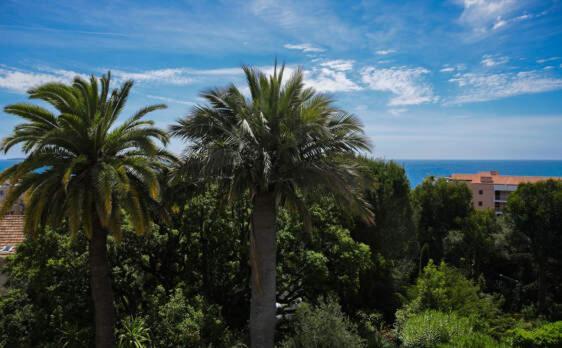 Ferienhaus Persienne Cannes