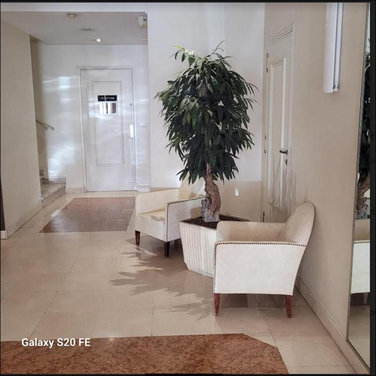 Luxury Between Antibs And Croisette Apartment